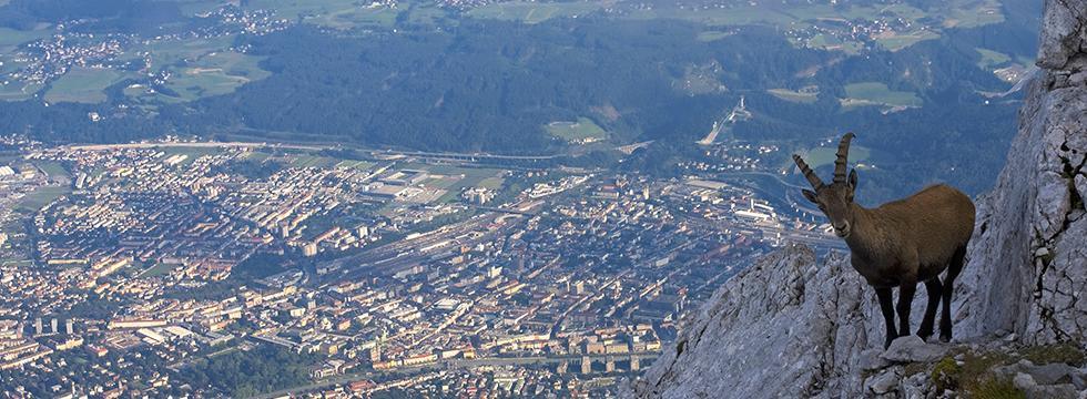 Hotel Charlotte Innsbruck Extérieur photo